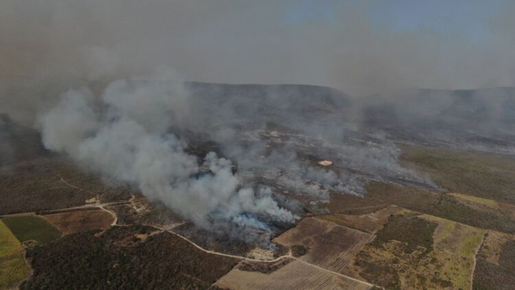 Atiende Protección Civil Estatal incendio forestal en Nuevo Morelos