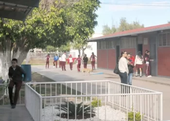 Refuerza Salud vigilancia sanitaria en escuelas de Tampico por brote de Hepatitis “A”