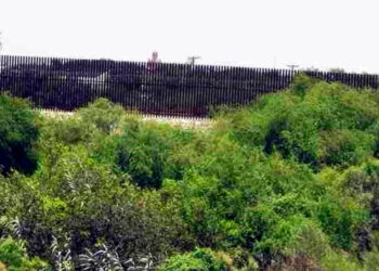 Denuncian daño a patrimonio mundial con muro fronterizo