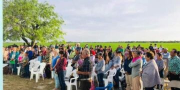 Oran en los campos de Tamaulipas por lluvias que salven cultivos y permitan buenas cosechas