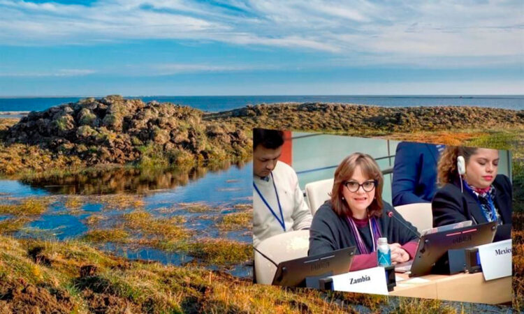 Lanzan el ‘Desafío del Agua Dulce’