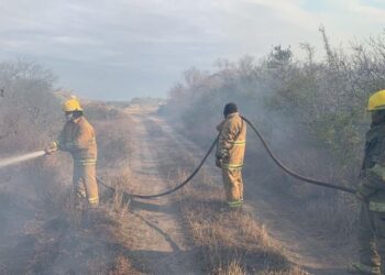 Con altas temperaturas aumentan incendios en la Capital