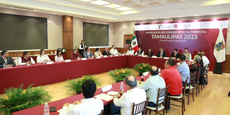 Instala Américo Villarreal el Consejo Estatal Forestal en Tamaulipas