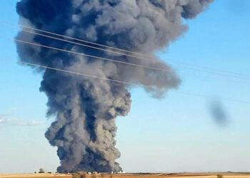 Confirman muerte de 18 mil vacas por explosión en Texas