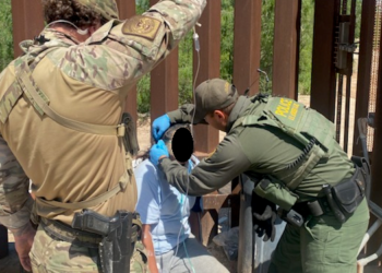 Rescata PF a madre migrante atacada por abejas