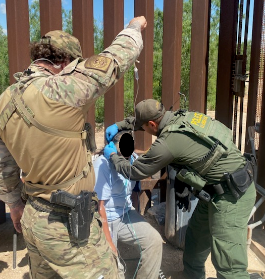 Rescata PF a madre migrante atacada por abejas