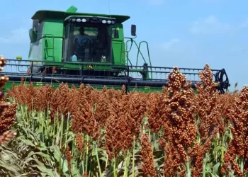 Cámara de Diputados extingue la Financiera Nacional de Desarrollo Agropecuario