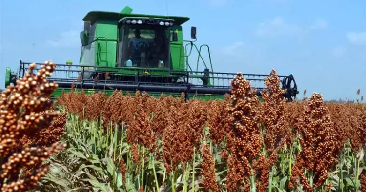 Cámara de Diputados extingue la Financiera Nacional de Desarrollo Agropecuario