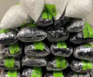 Incautan metanfetaminas en puente Hidalgo-Reynosa