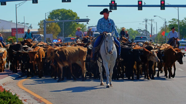 Texas ofrece ayuda a rancheros por daños a propiedades en frontera