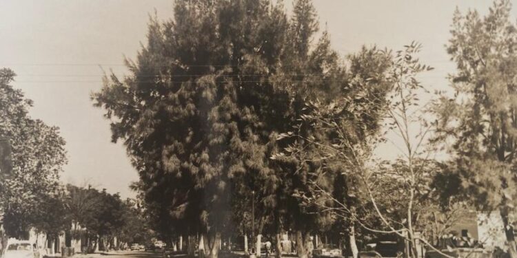 Una mirada nostálgica al Cd. Victoria, Tamaulipas de noviembre de 1968