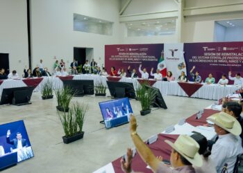 Delitos contra niñas, niños y adolescentes no tendrán impunidad: AVA