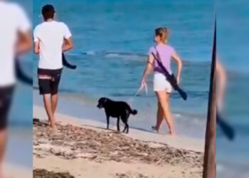 Mujer extranjera es captada portando un rifle en playas de Yucatán