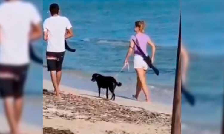 Mujer extranjera es captada portando un rifle en playas de Yucatán