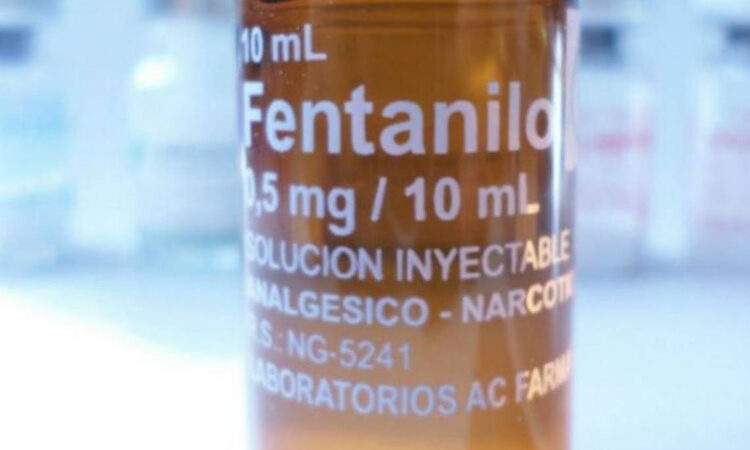 ¿En qué consiste la nueva estrategia entre México y EU para combatir el fentanilo?