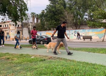 Un gran éxito la cartelera deportiva de San Marcazo 2023