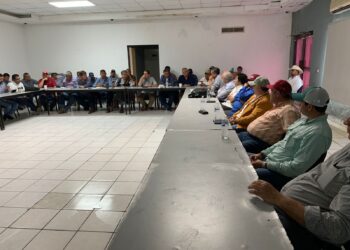 Sorgueros de Tamaulipas claman ante AMLO precio de garantía para 2 millones de toneladas