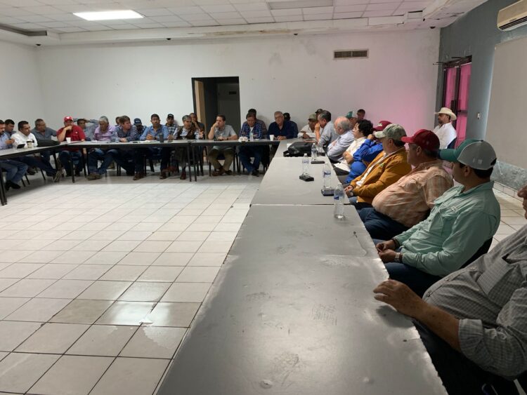 Sorgueros de Tamaulipas claman ante AMLO precio de garantía para 2 millones de toneladas