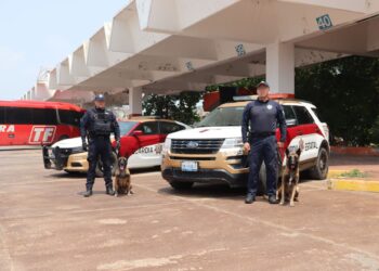 Binomios Caninos de la Guardia Estatal mantienen vigilancia en Central de Autobuses