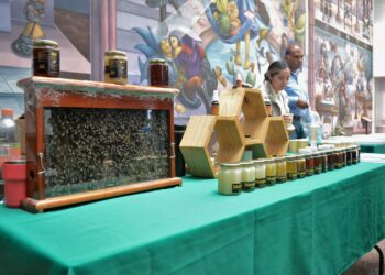 Población rural y urbana, obligada a proteger a las abejas: Víctor Suárez Carrera