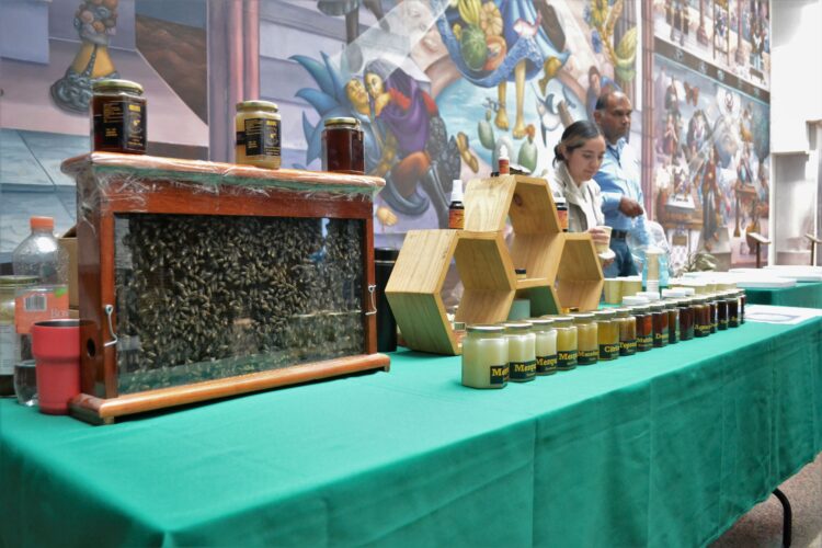 Población rural y urbana, obligada a proteger a las abejas: Víctor Suárez Carrera