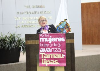 Aprueban reformas para que agresores sexuales y deudores alimentarios no puedan ocupar cargos públicos