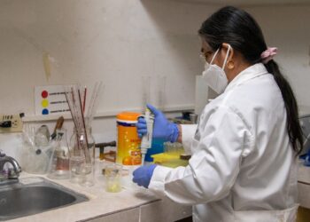 Analizan bacteria que afecta a los perros y que puede trasmitirse al ser humano