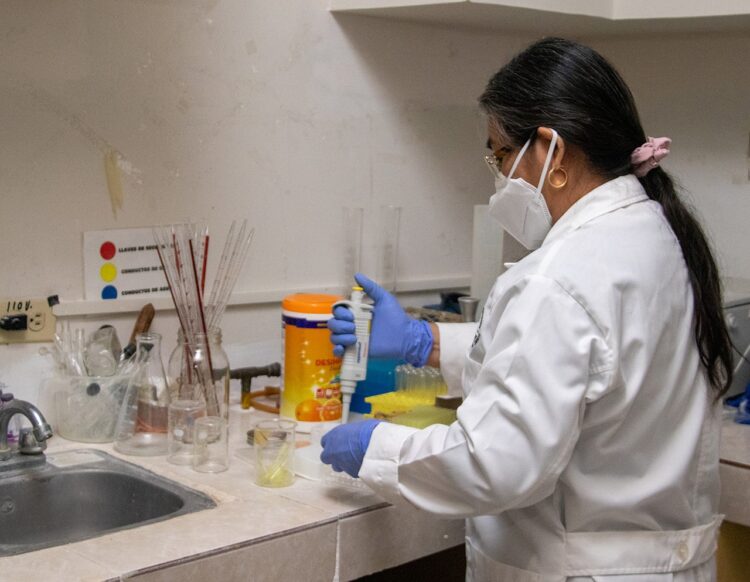 Analizan bacteria que afecta a los perros y que puede trasmitirse al ser humano