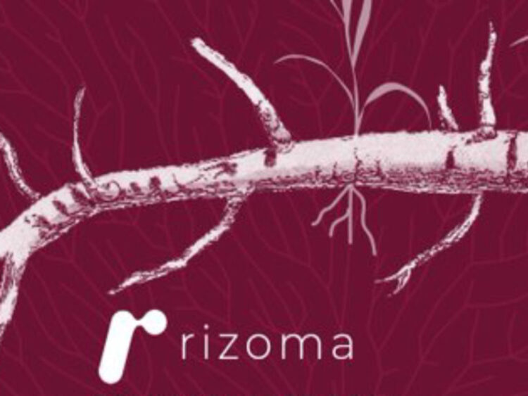 Conahcyt presenta plataforma informática Rizoma