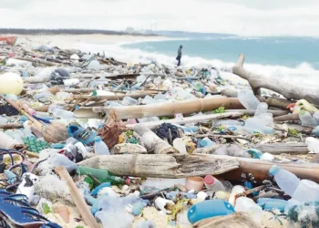 Nuevas negociaciones en París para un tratado contra la contaminación plástica