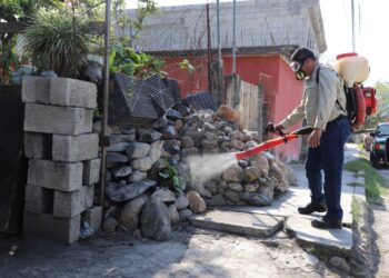 Llama Secretaría de Salud pide reforzar medidas de prevención contra dengue 