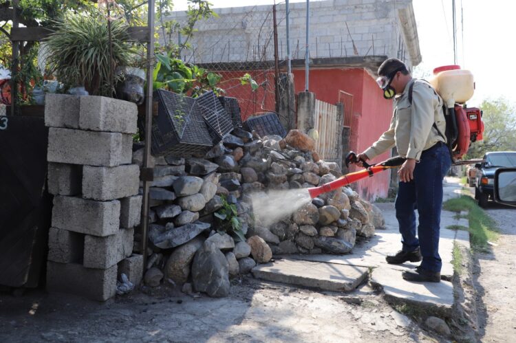 Llama Secretaría de Salud pide reforzar medidas de prevención contra dengue 