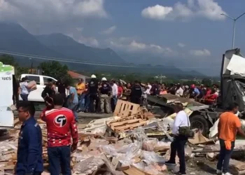 Vuelca tráiler con toneladas de pollo y lo saquean