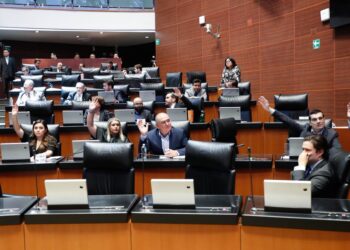 Fuerzas Armadas aseguran en 6 meses 70 tons. de drogas, 6,255 autos y 4,973 armas