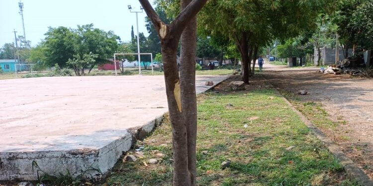 Sigue Lalo Gattás cumpliendo al deporte victorense