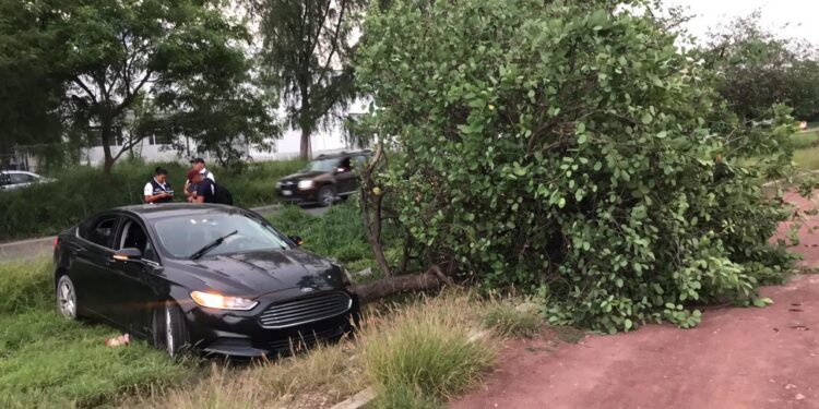 Cafre sale de pavimento y se estrella contra un árbol de libramiento