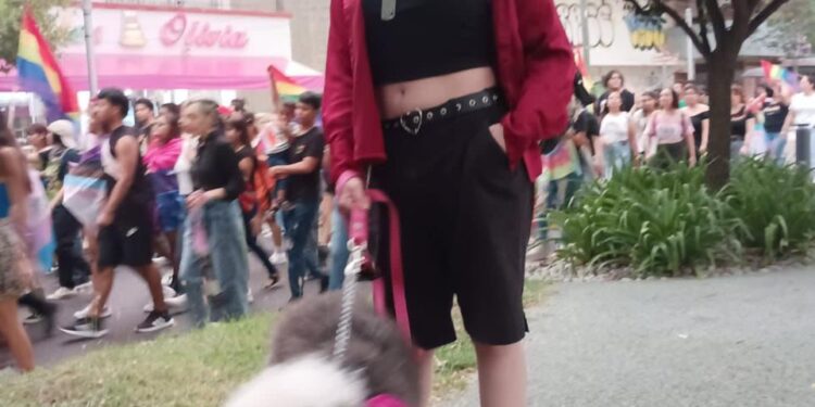 Marcha comunidad lésbico-gay del Paseo Méndez al Patinadero en Victoria