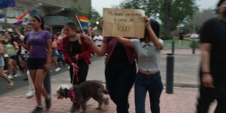 Marcha comunidad lésbico-gay del Paseo Méndez al Patinadero en Victoria