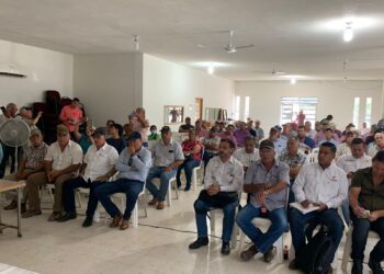 Crece malestar de sorgueros de Tamaulipas por falta de apoyo al precio de tonelada