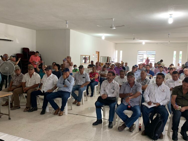 Crece malestar de sorgueros de Tamaulipas por falta de apoyo al precio de tonelada