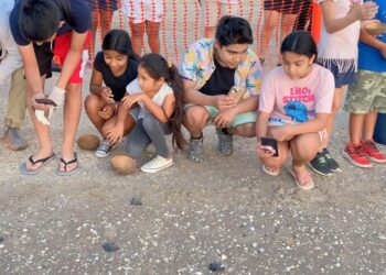 Liberan primeras crías de la temporada de tortuga lora en Soto la Marina, Tamaulipas