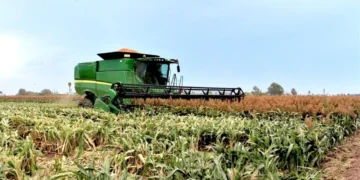 Exigen sorgueros de Tamaulipas a AMLO y Villalobos precios justos a cosechas