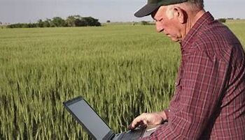 Productores mexicanos de maíz, trigo y sorgo exigen igual trato al que otorgan gobierno de EU y Canadá