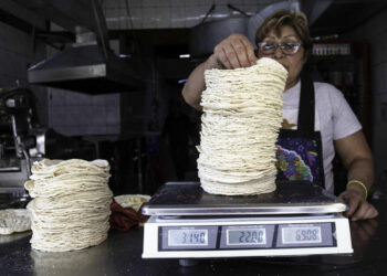 AMLO firmará acuerdo para que en tortillerías sólo se use maíz blanco y no transgénico