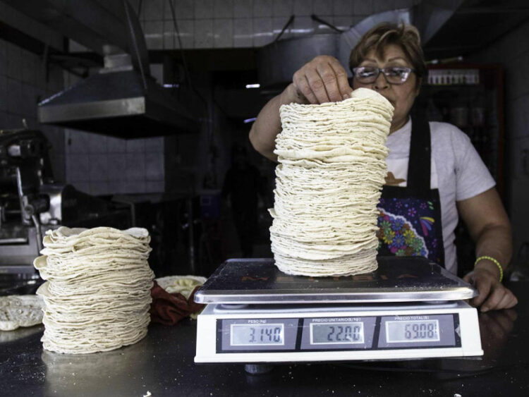 AMLO firmará acuerdo para que en tortillerías sólo se use maíz blanco y no transgénico