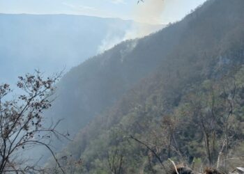Se queman 34 hectáreas de “El Infiernillo” en reserva ecológica “El Cielo” en Jaumave, Tamaulipas