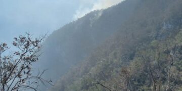 Se queman 34 hectáreas de “El Infiernillo” en reserva ecológica “El Cielo” en Jaumave, Tamaulipas