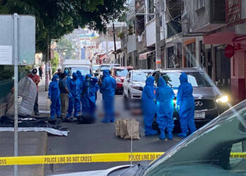 Hallan siete cuerpos humanos desmembrados en Chilpancingo, Guerrero