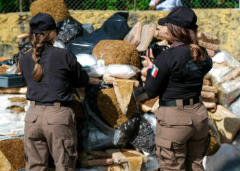 Prepara gobierno federal encuesta nacional sobre consumo de drogas