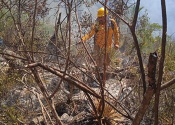 Aparece nuevo incendio forestal, ahora en el ejido “Lucio Vázquez” de Tula